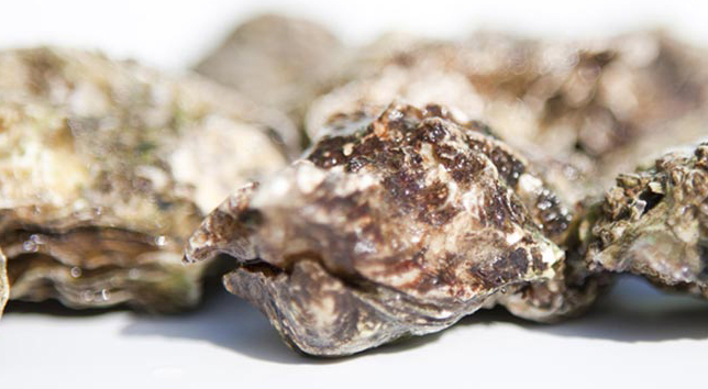 Zeeuwse oesters tijdens finish Tour de France 